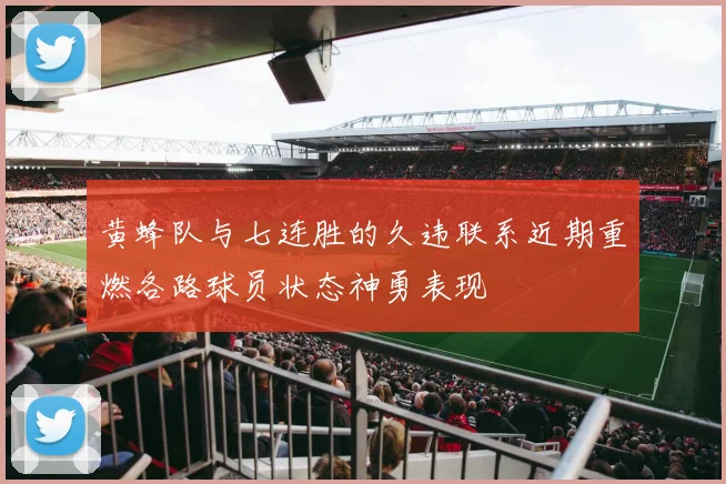 黄蜂队与七连胜的久违联系近期重燃各路球员状态神勇表现