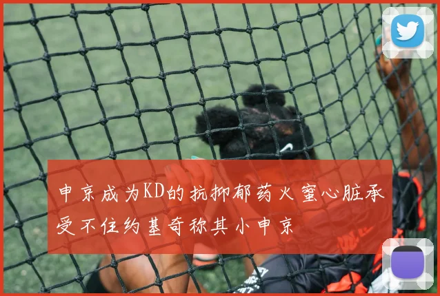 申京成为KD的抗抑郁药火蜜心脏承受不住约基奇称其小申京