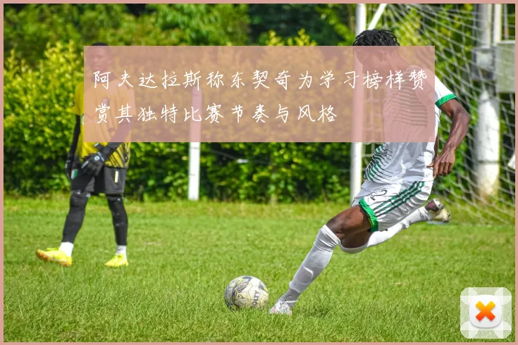 阿夫达拉斯称东契奇为学习榜样赞赏其独特比赛节奏与风格