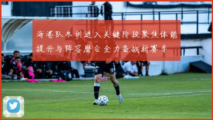 海港队冬训进入关键阶段聚焦体能提升与阵容磨合全力备战新赛季
